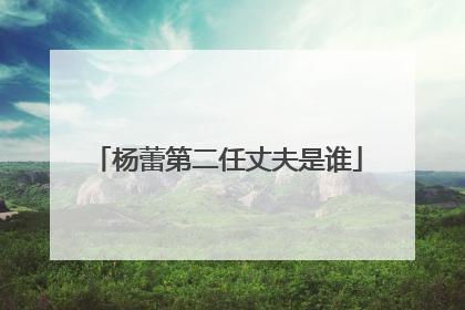 杨蕾第二任丈夫是谁