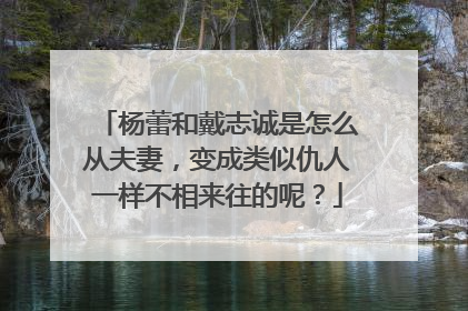 杨蕾和戴志诚是怎么从夫妻,变成类似仇人一样不相来往的呢?