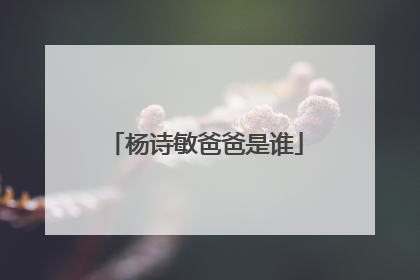 杨诗敏爸爸是谁