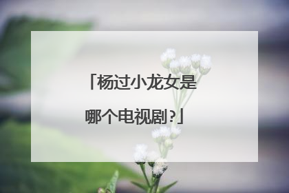 杨过小龙女是哪个电视剧?