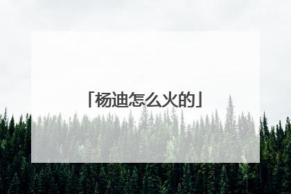 杨迪怎么火的