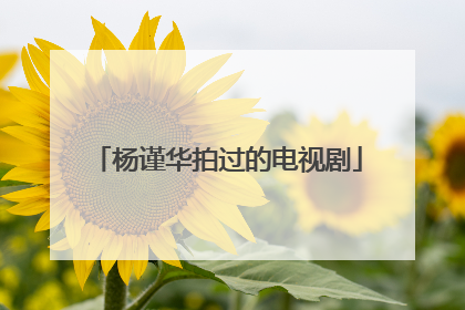 杨谨华拍过的电视剧