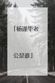 杨谨华老公是谁