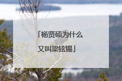 杨贤硕为什么又叫梁铉锡