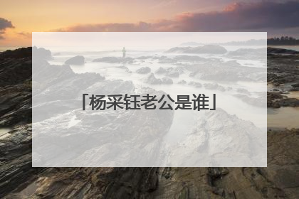 杨采钰老公是谁