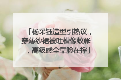 杨采钰造型引热议，穿薄纱裙被吐槽像蚊帐，高级感全靠脸在撑