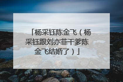 杨采钰陈金飞（杨采钰跟刘亦菲干爹陈金飞结婚了）