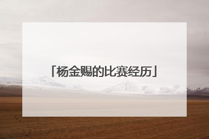 杨金赐的比赛经历