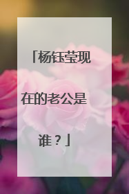 杨钰莹现在的老公是谁？