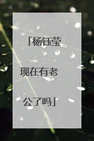杨钰莹现在有老公了吗