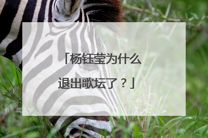 杨钰莹为什么退出歌坛了?