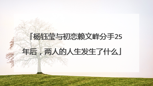 杨钰莹与初恋赖文峰分手25年后，两人的人生发生了什么