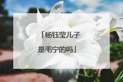 杨钰莹儿子是毛宁的吗