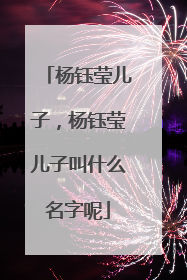 杨钰莹儿子,杨钰莹儿子叫什么名字呢