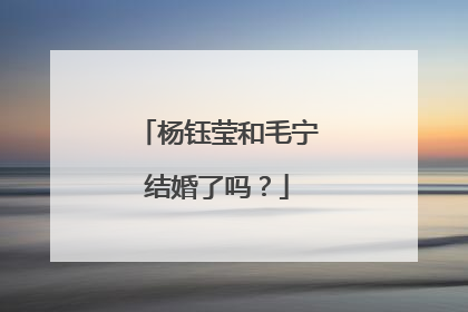 杨钰莹和毛宁结婚了吗?