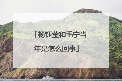 杨钰莹和毛宁当年是怎么回事