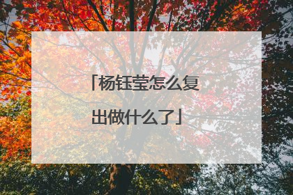 杨钰莹怎么复出做什么了
