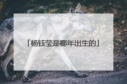 杨钰莹是哪年出生的