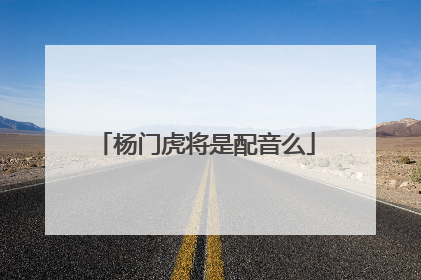 杨门虎将是配音么