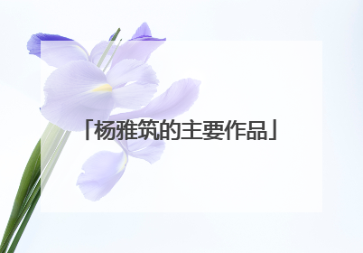 杨雅筑的主要作品