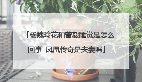 杨魏玲花和曾毅睡觉是怎么回事 凤凰传奇是夫妻吗