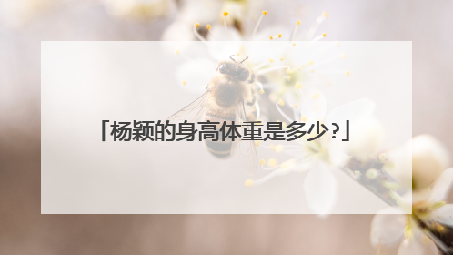 杨颖的身高体重是多少?