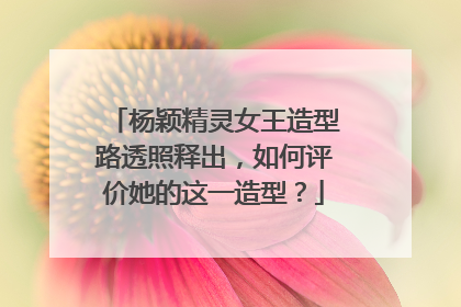杨颖精灵女王造型路透照释出，如何评价她的这一造型？