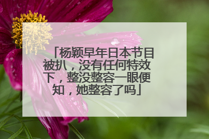 杨颖早年日本节目被扒，没有任何特效下，整没整容一眼便知，她整容了吗