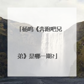 杨鸣《奔跑吧兄弟》是哪一期?