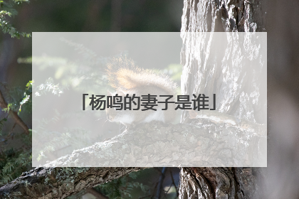 杨鸣的妻子是谁