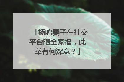 杨鸣妻子在社交平台晒全家福，此举有何深意？