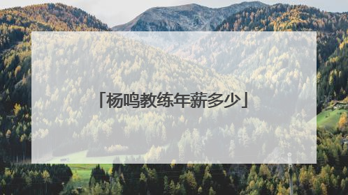 杨鸣教练年薪多少