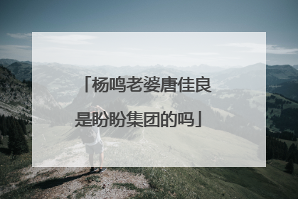 杨鸣老婆唐佳良是盼盼集团的吗