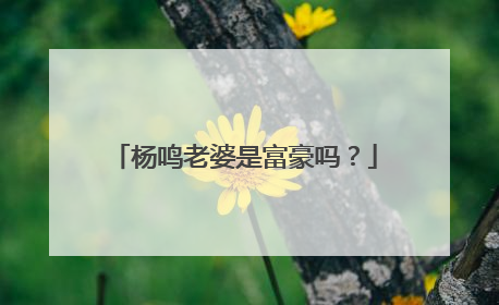 杨鸣老婆是富豪吗？