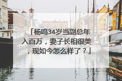 杨鸣34岁当副总年入百万，妻子长相很美，现如今怎么样了？