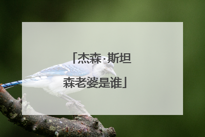 杰森·斯坦森老婆是谁