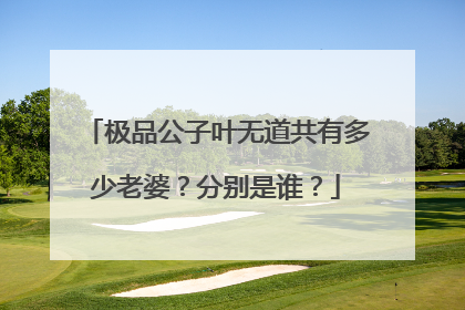 极品公子叶无道共有多少老婆？分别是谁？