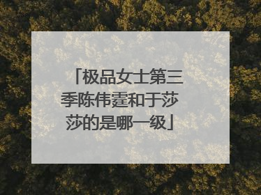 极品女士第三季陈伟霆和于莎莎的是哪一级