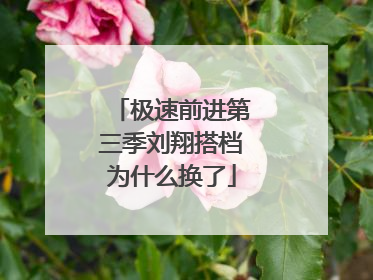 极速前进第三季刘翔搭档为什么换了