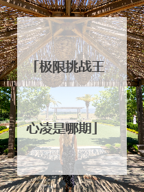 极限挑战王心凌是哪期