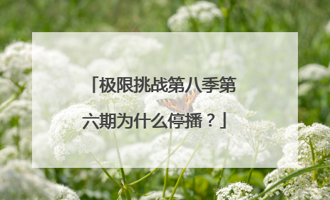 极限挑战第八季第六期为什么停播?