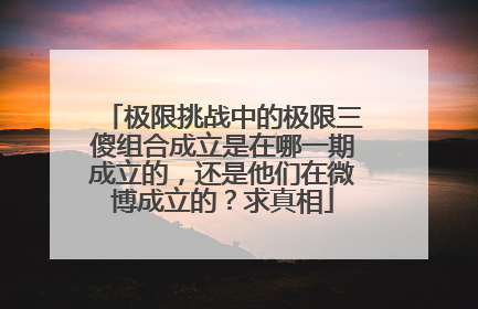 极限挑战中的极限三傻组合成立是在哪一期成立的,还是他们在微博成立的?求真相