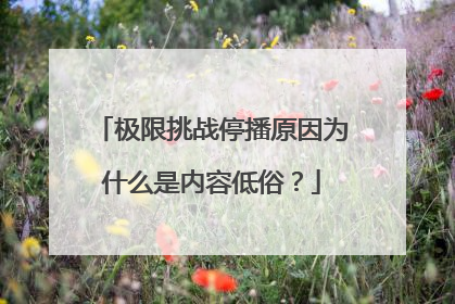 极限挑战停播原因为什么是内容低俗？