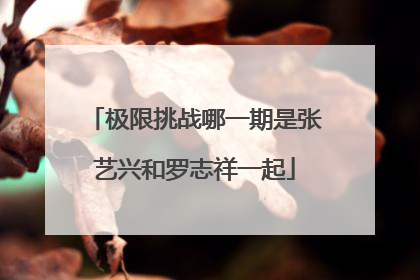 极限挑战哪一期是张艺兴和罗志祥一起