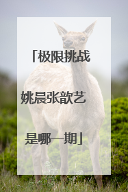 极限挑战姚晨张歆艺是哪一期