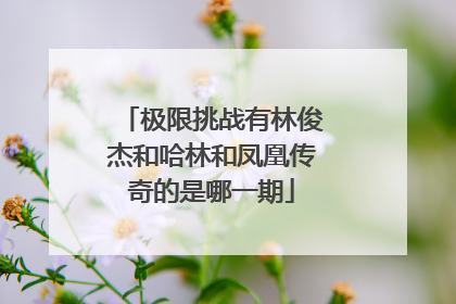 极限挑战有林俊杰和哈林和凤凰传奇的是哪一期