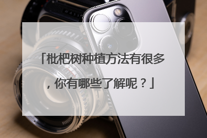 枇杷树种植方法有很多，你有哪些了解呢？