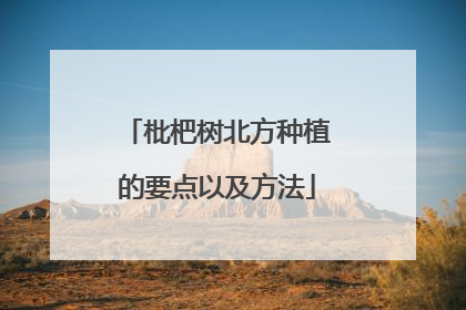 枇杷树北方种植的要点以及方法