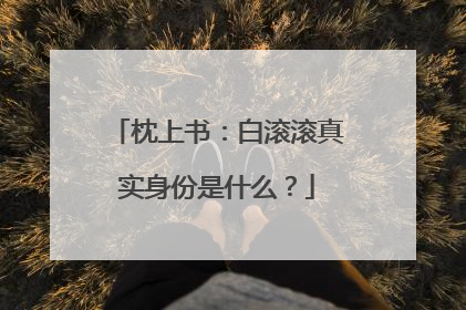 枕上书：白滚滚真实身份是什么？