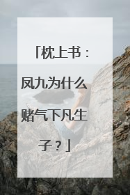 枕上书:凤九为什么赌气下凡生子?